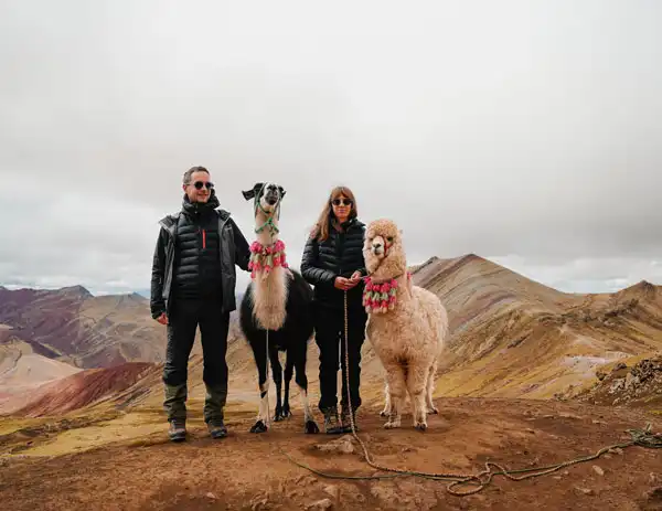 Llamas in Palccoyo Mountain